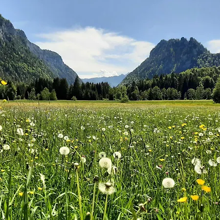 Ferienwohnungen Im Griachalgarten - Chiemgau Karte Inzell Exterior foto